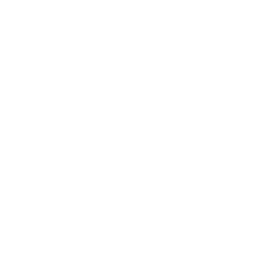 Vencub Logo